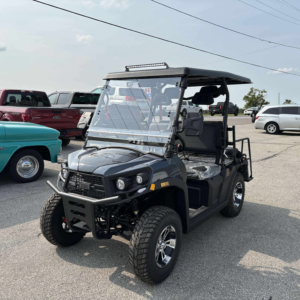 Aodes Rover 200EFI Gas Golf Cart