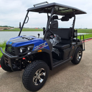 Aodes Rover 300EFI Gas Golf Cart